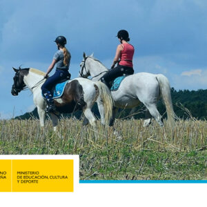 Prueba de Acceso a Técnico Deportivo en Hípica – Nivel 3 (Salto, Doma y CC)