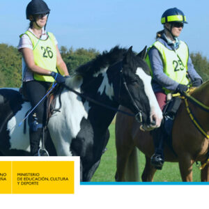 Técnico Deportivo en Hípica – Nivel 3 (Salto, Doma y CC)